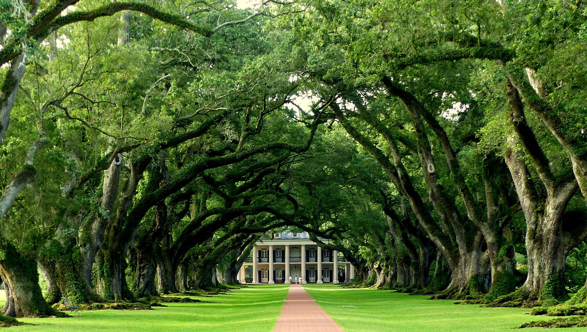 Travel USA: Oak Alley Plantationy