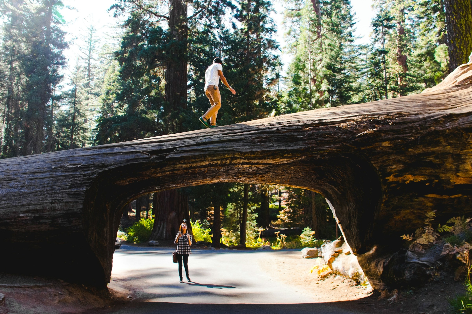 Northern California, USA Sequoia National Park