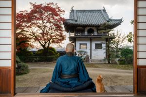 Wellness in Japan