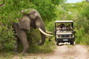 Sth Africa Travel Up