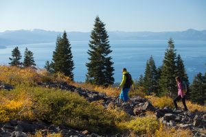 More Kiwis Are Visiting Lake Tahoe