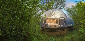 Ireland's Best Unrushed Stays - Treehouise Dome Fernwood