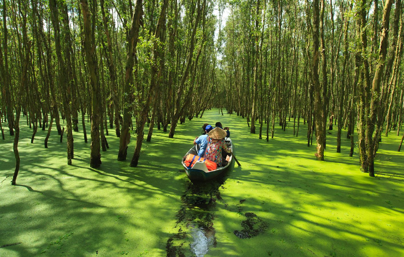 Ama Tra Su Forest Vietnam