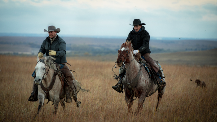 Horseback Riding Cowboys