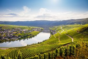 BK Travelmarvel Mosel Valley July 2026 Photo Credit APT Travel Group