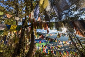 Bhutan: Explore It All Year Round
