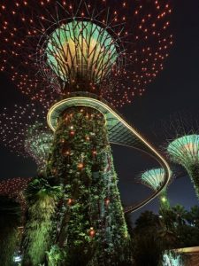 Longer Stays In Singapore Rising - Gardens by the Bay