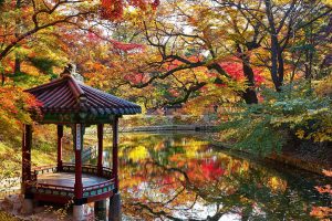 A Euro Summer, But It's Asia In Demand