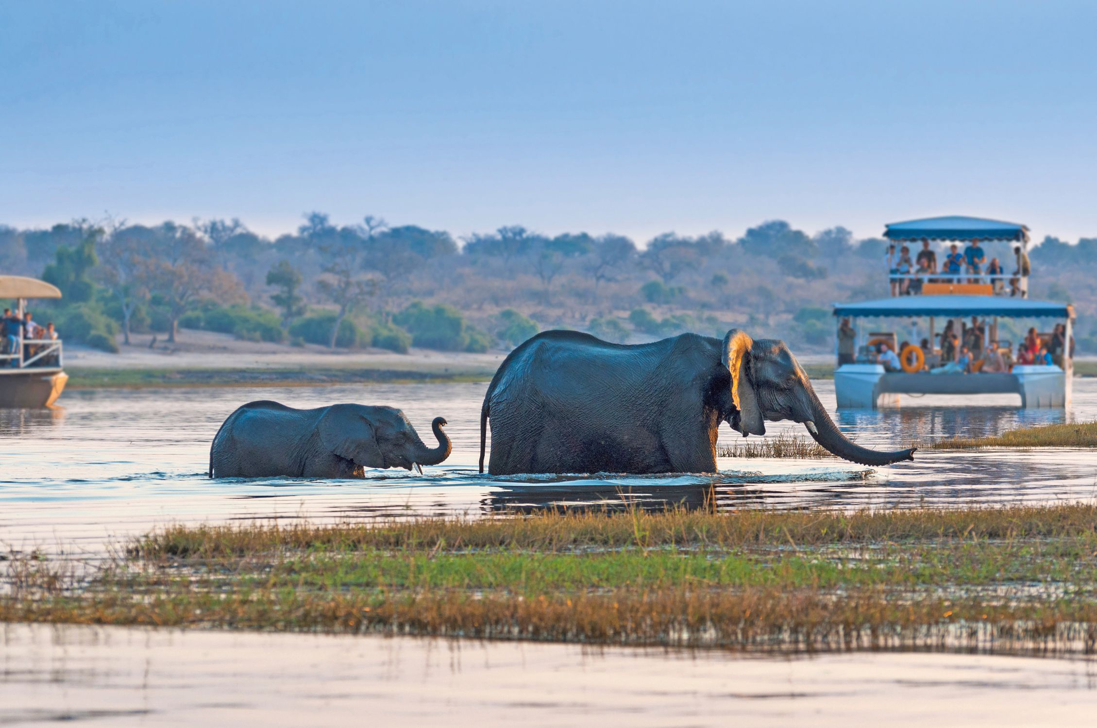 Scenic SCL_Chobe_River_Cruise_Botswana_001