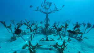 Outrigger Ocean Month Initiatives