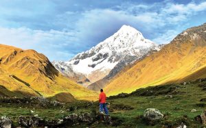 Darecations: Kiwis Want A Challenge