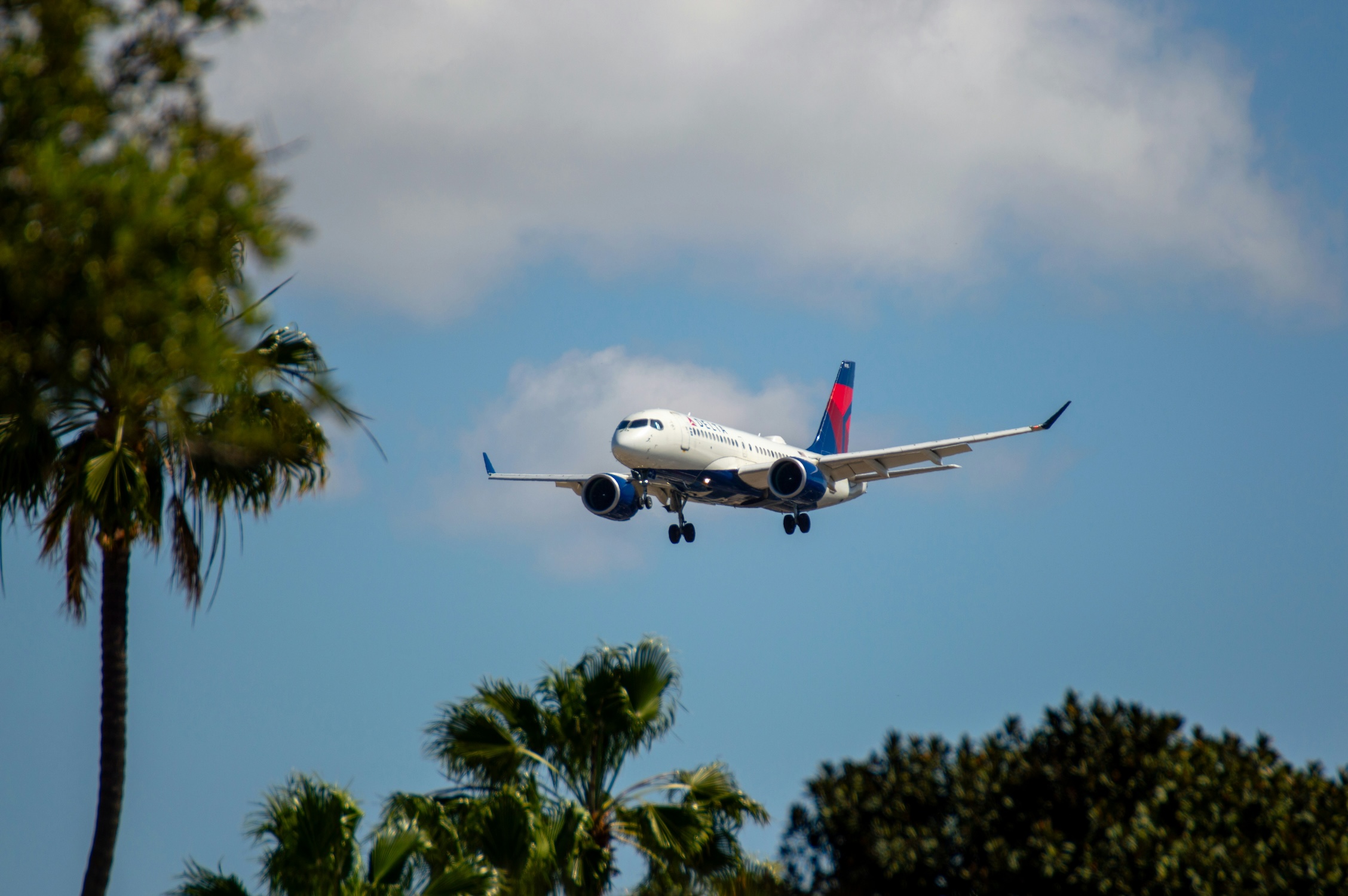 Delta Airlines photo credit Alito McBean via Unsplash