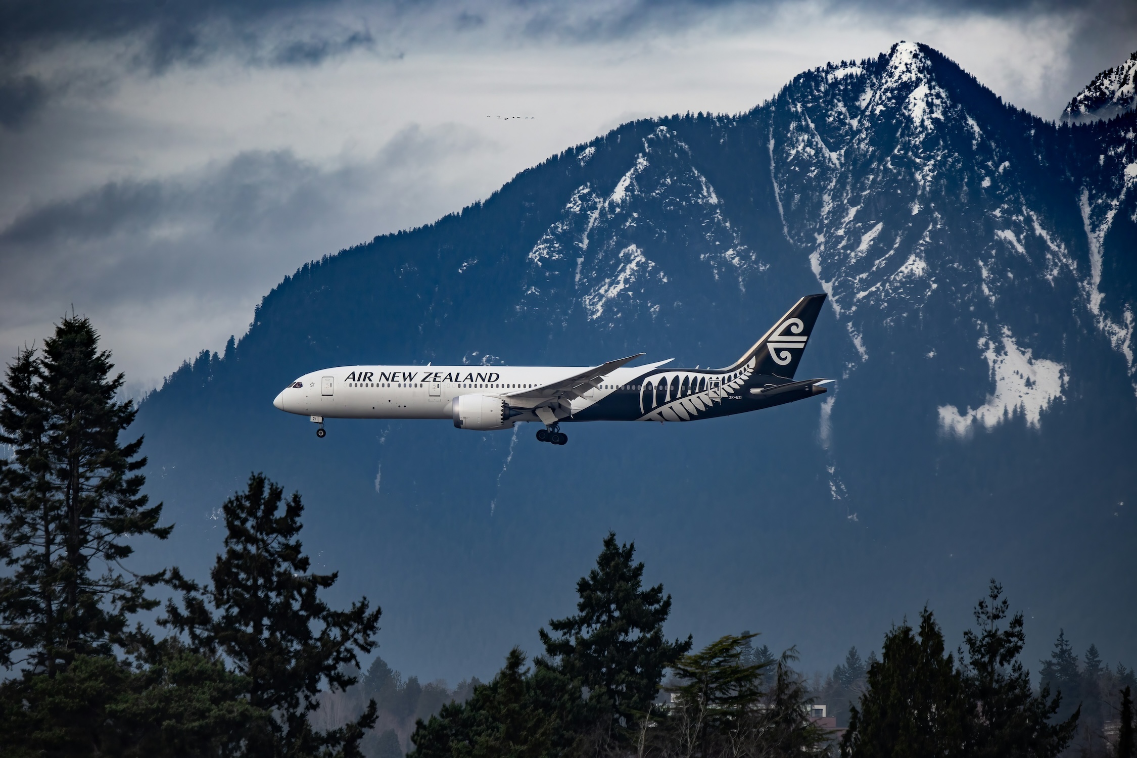 Air New Zealand Photo Credit Karim Oussayar Via Unsplash
