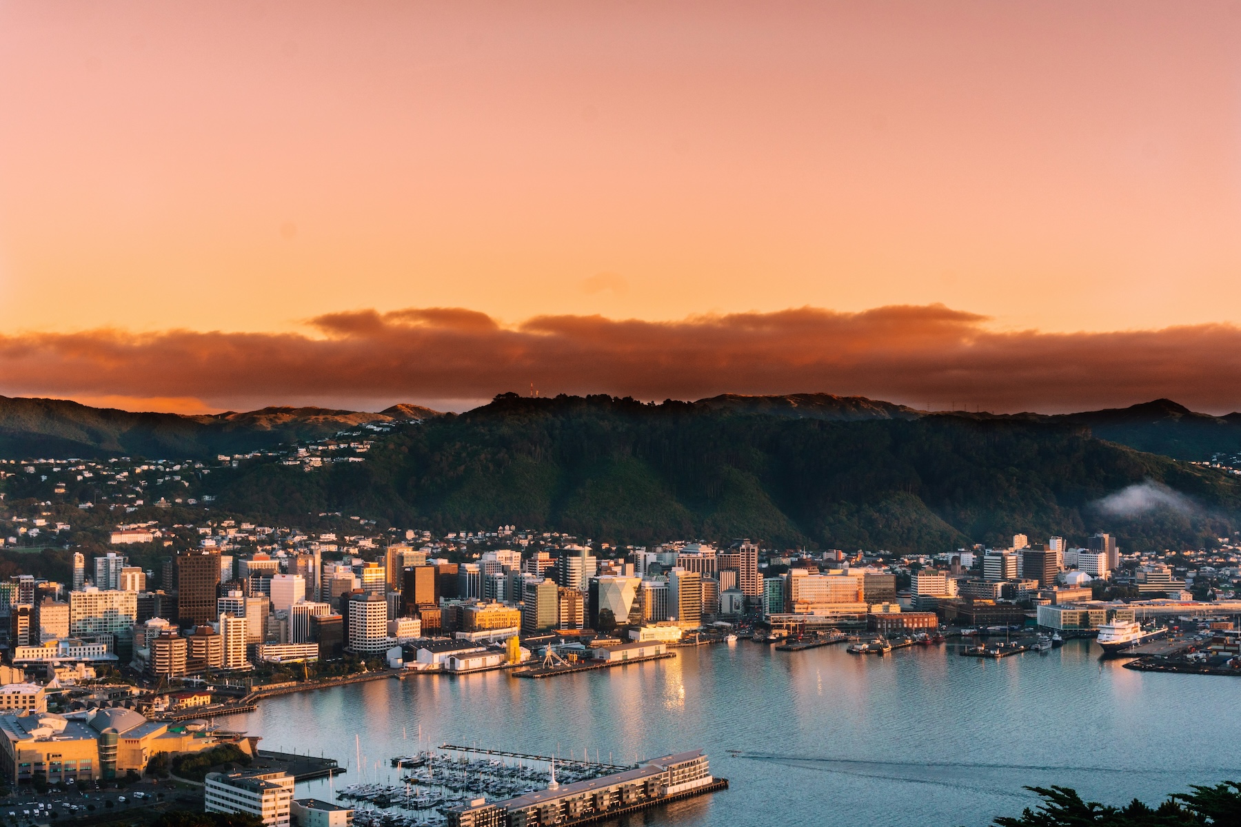 Wellington landscape photo credit Sulthan Auliya Via Unsplash